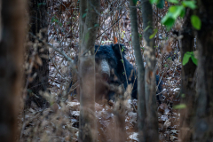 DSC0923-Verbessert-RR