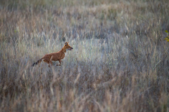 DSC3652-Verbessert-RR-2