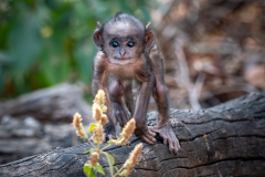 DSC3721-Verbessert-RR