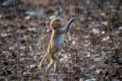 DSC7758-Verbessert-RR