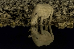 Nashorn nachts am Wasserloch, Etosha Nationalpark Namibia