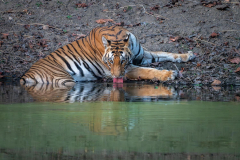 DSC4442-Verbessert-RR-Kopie