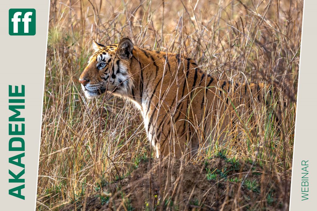 Monat der Naturfotografie - Thorge Berger - Wild World India