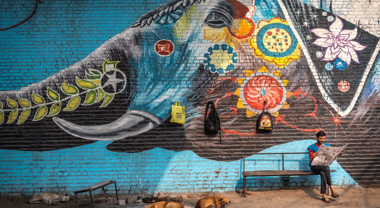 Elephant painting in a street of Prayagraj