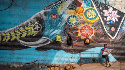 Elephant painting in a street of Prayagraj