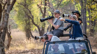 Tiger und Wildlife-Fotoreise 2026