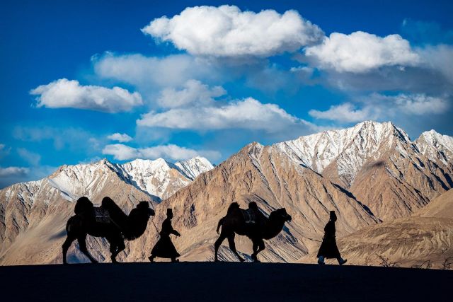 Wish you all a Merry Christmas!
The photo is from Nubra Valley, Ladakh.

#indiapictures #indiaclicks #indiatravelgram #indiaphotography #indiashutterbugs #indialove #india_gram #incredibleindia #indiaphotosociety #indiaundiscovered #indiapicturehub #travelindia #travelphotography #landscapephotography #landscapelovers #landscapehunter #landscapephotograpy #natgeolandscape #natgeoyourshot #mountainlovers #mountainstories #himalayamountains #reisefotografie #angelbirdmedia #angelbirdcreatives #outdooradventures #discoverearth #discoverglobe #discovery #beautifulplace