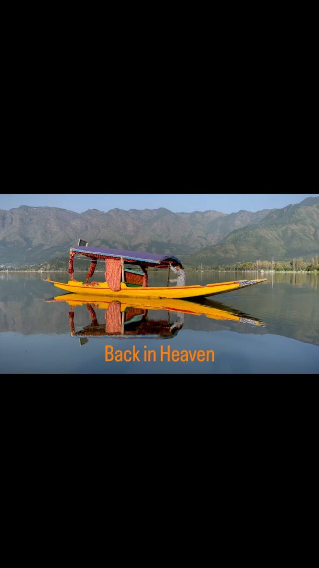 Just got back to the beautiful Dal Lake in Srinagar, Kashmir.
#kashmir #dallake #shikara #reisefotografie #gbv_vortraege #angelbirdmedia #angelbirdcreatives #indiapictures #indiaclicks #indiatravelgram #indiatravel #indialove #indiaphotography #incredibleindia #indiareels #india_undiscovered #indiaphotostory